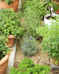 If you have suggestions or best offer please contact us. Herb Garden Design Different Types Of Herb Gardens