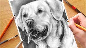 You can edit any of drawings via our online image editor before downloading. How To Draw A Dog Realistic Drawing Tutorial Step By Step Drawing With Charcoal Youtube