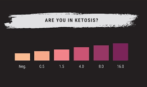 A Guide To Ketone Strips Learn About Keto Strips Today