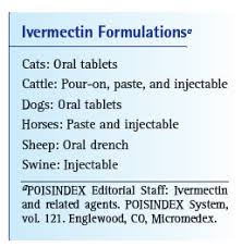 Toxicology Brief Proper Use Of Ivermectin In Cats Vetfolio