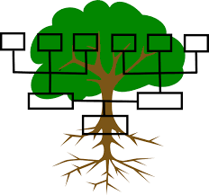 family tree clip art at clker com