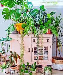 30 Modern Indoor Garden Ideas For This
