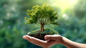 Dzisiaj obchodzimy Światowy Dzień Drzewa! – Wojewódzki Inspektorat Ochrony  Środowiska we Wrocławiu