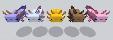 Note that only one to four axolotls will spawn in one group. Minecraft Axolotls How To Tame An Axolotl In The Cliffs Caves Update Vg247