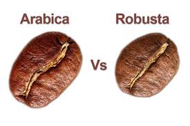 Phân biệt cà phê Arabica và Robusta – Vietmay Coffee
