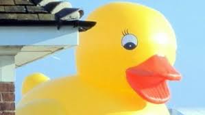 rubber duck tours london s river thames
