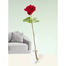single red rose including gl vase