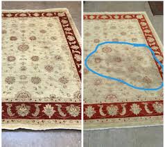 dog urine out of wool rug