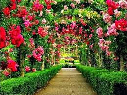 55 most beautiful flower gardens in the