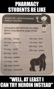 levothyroxine tablet colors orangutans