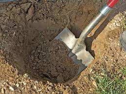 Improve Sandy Soil Perth Gardening Expert