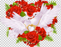 love rose png clipart