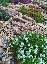 Rock Wall Landscaping Plants