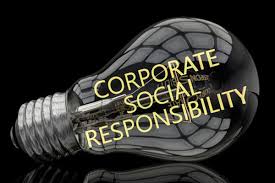 Image result for corporation vs. social good picture