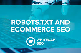 robots txt and ecommerce seo whitecap seo