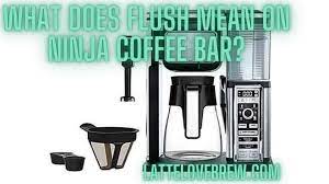 flush mean on ninja coffee bar