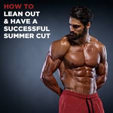 lean out and have a successful summer cut