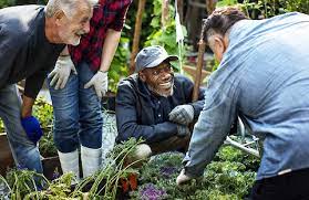 community gardening for seniors and its