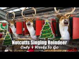 singing reindeer only 4 weeks to go