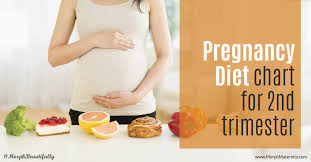 Pregnancy Diet Chart For 2nd Trimester Morph Maternity