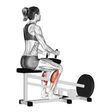 seated vs standing calf raise which