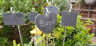 Shaped Slate Herb And Plant Markers