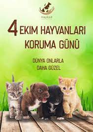 Hayvanları Koruma Günü projects | Photos, videos, logos, illustrations and  branding on Behance