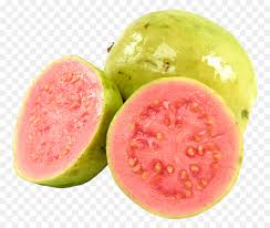 free transpa guava png