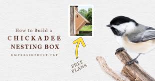 Make A Adee Nesting Box Free