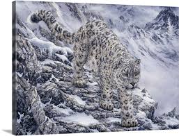 Snow Leopard Wall Art Canvas Prints