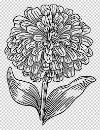 Touch device users, explore by touch or with swipe gestures. Coloring Book Drawing Mexican Marigold Bullet Traces Flower Arranging Child Pencil Png Klipartz