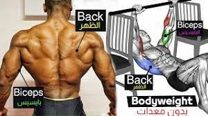 8 full exercise bodyweight back