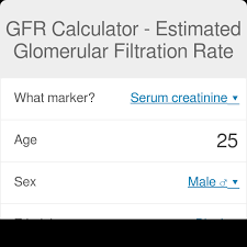 Gfr Calculator Estimated Glomerular