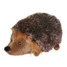 living nature um hedgehog