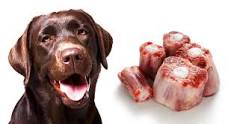 Can I feed my dog oxtails?