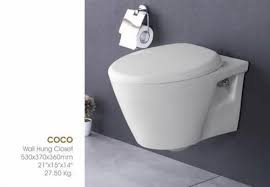 Wall Hung Toilets White