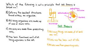 the principles of cell theory