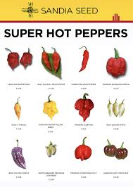 Hottest Peppers 2019 In 2019 Stuffed Peppers Stuffed Hot