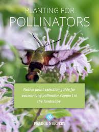 Planting For Pollinators Prairie Nursery