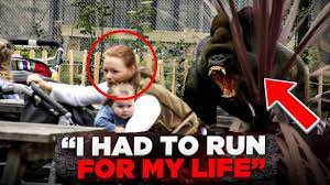 This Gorilla Broke Loose And Mauled Visitor Yvonne | Bokito Story - YouTube