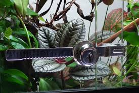 How To Fit A Lock To A Vivarium A