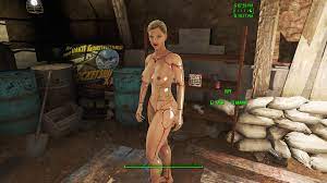 Step into a Sexy Post-Apocalyptic World with Fallout 4 Porn Mods ❤️ Best  adult photos at ylcteknikservis.com
