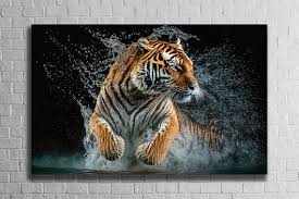 Tiger In Water Wall Art Tempered Glass