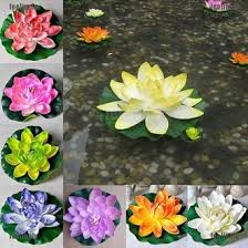 Bunga teratai, dalam bahasa inggris disebut water lily, merupakan tanaman air yang identik dengan cara hidup mengambang di permukaan air. Jual Produk Kolam Bunga Teratai Termurah Dan Terlengkap Juli 2021 Bukalapak