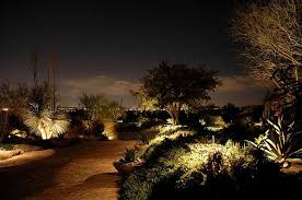 Desert Landscape Lighting For Your St