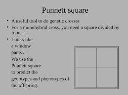 Hi, and welcome to this video on punnett squares! Introduction To Genetics Genetics Branch Of