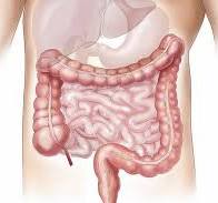 Diagnóstico y tratamiento para el síndrome del intestino ...