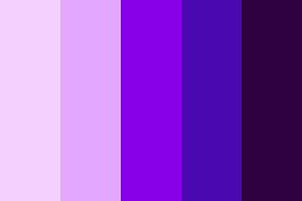 best purple color palette