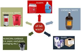 It describes how to create your own growing label. Where Does My Waste Go Stories Safety Ttu About Environmental Health Safety Ttu