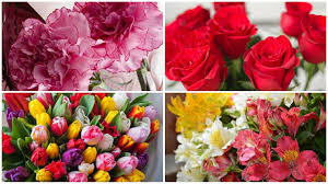 4 types of beautiful flowers by which